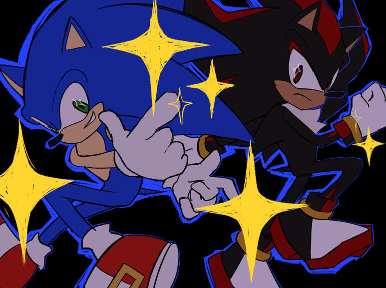 Sonic x Shadow